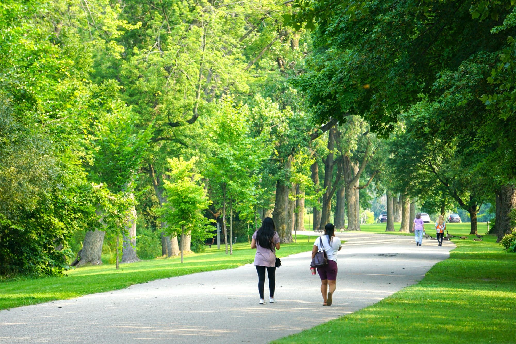 Article Placeholder image