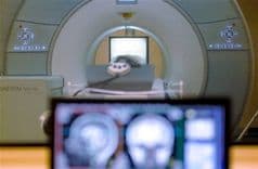CerebrosEstudio.jpg