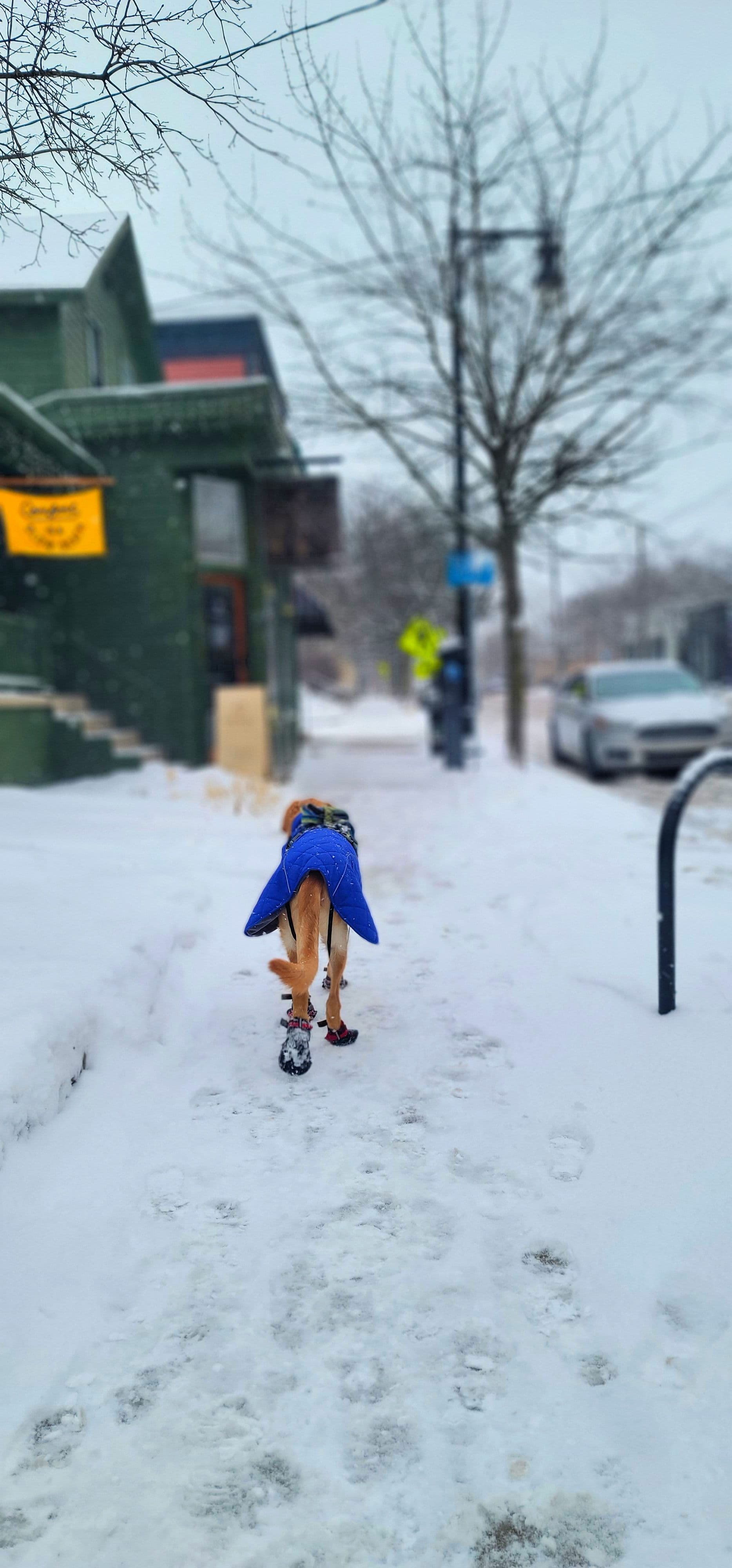 Article Placeholder image