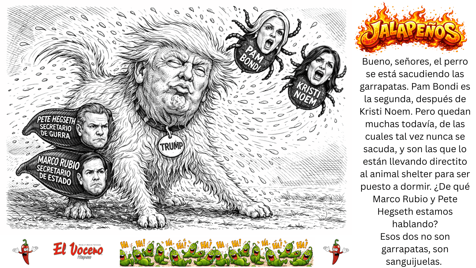 Article Placeholder image