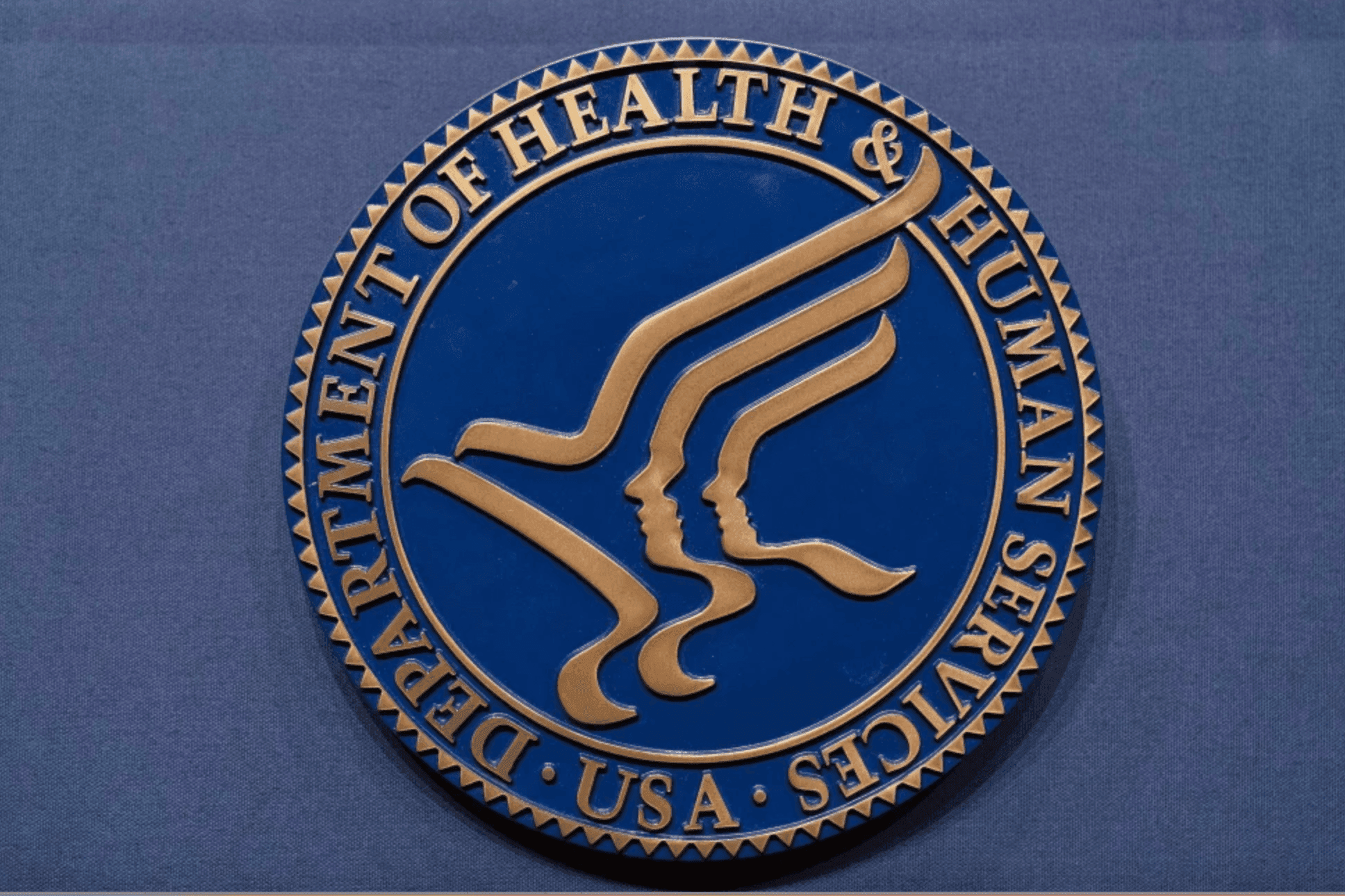 Article Placeholder image