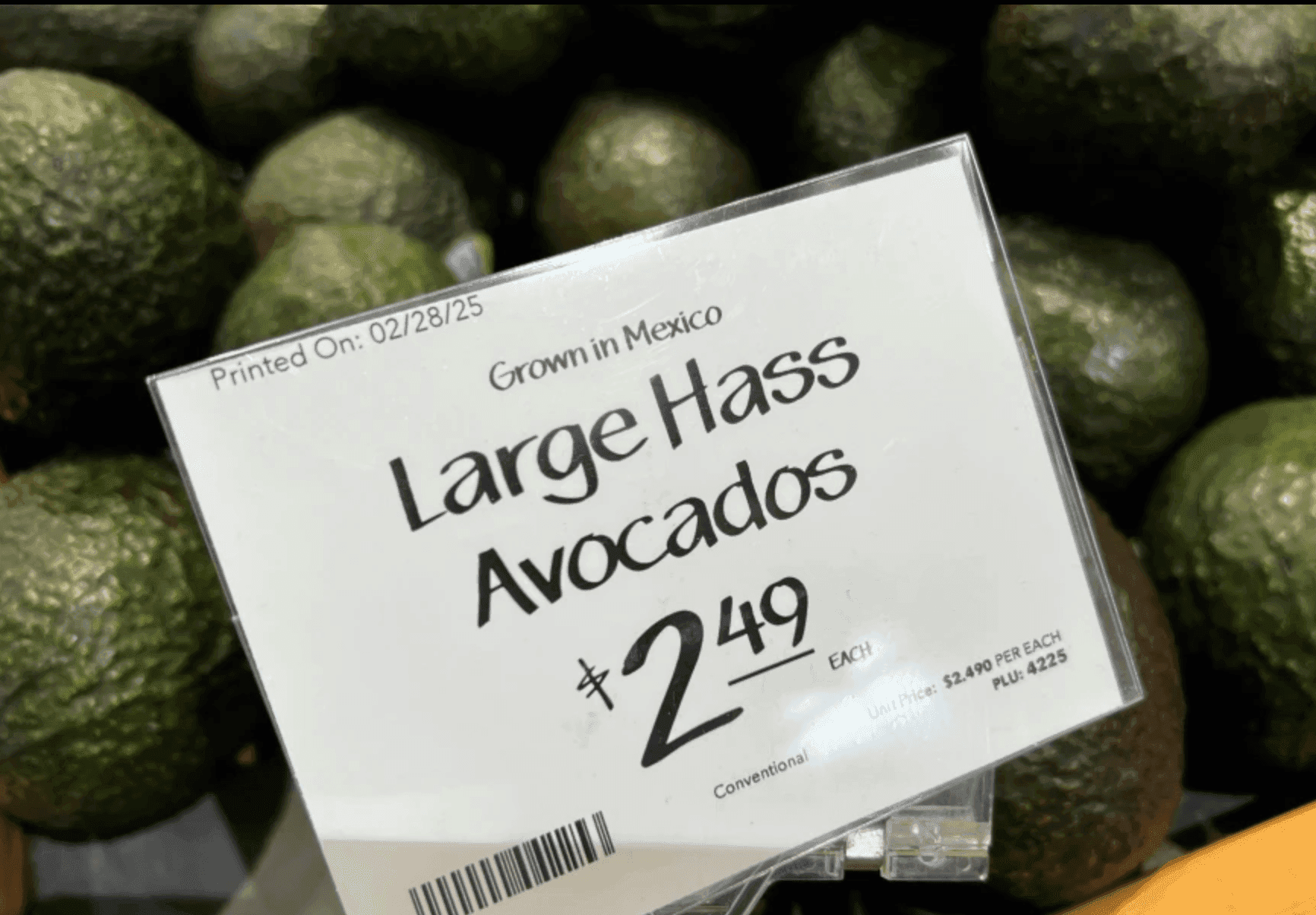 Article Placeholder image