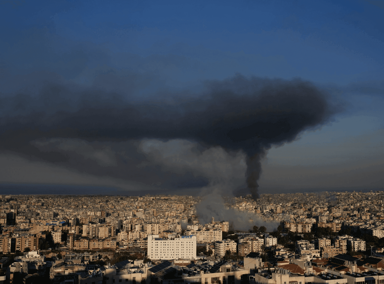 Article Placeholder image