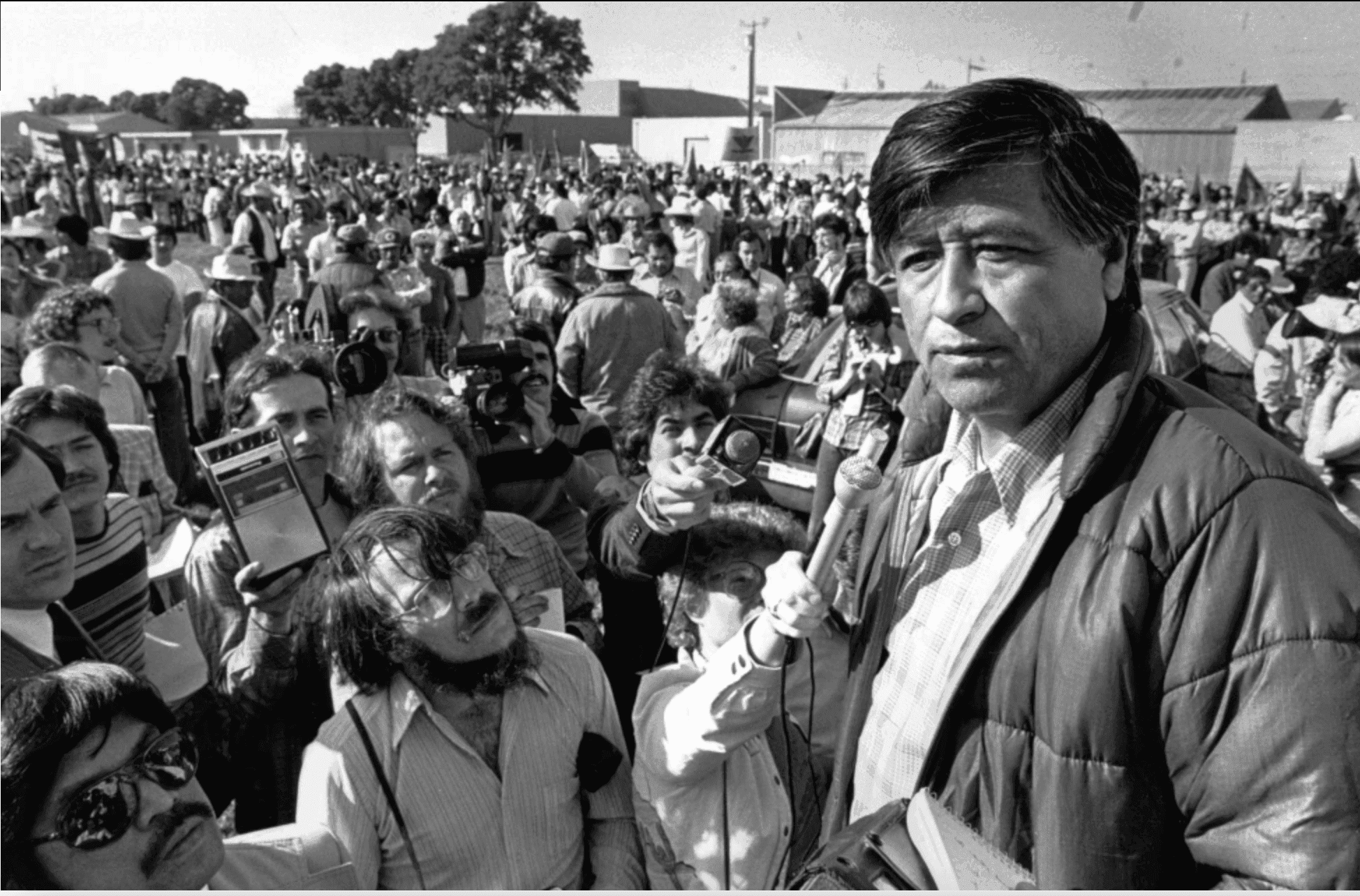 Article Placeholder image